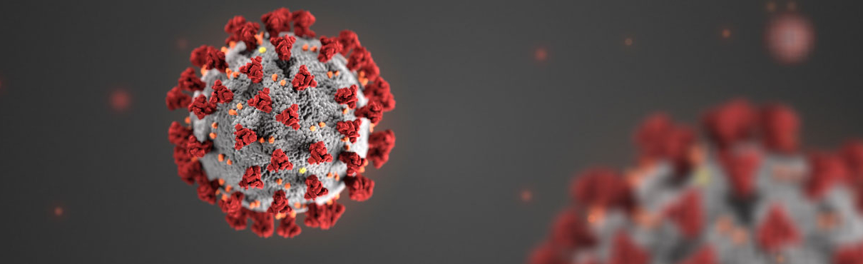 corona virus