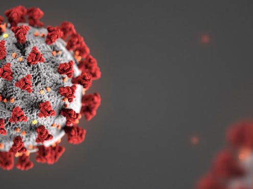 corona virus