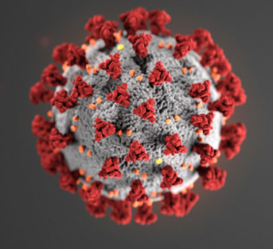 corona virus