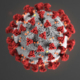corona virus