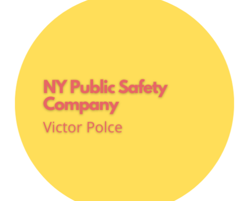ny public safety company